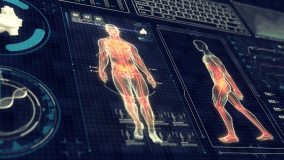 Human Anatomy WALKING with Futuristic Touch Screen Scan Interface in 3D x-ray - LOOP